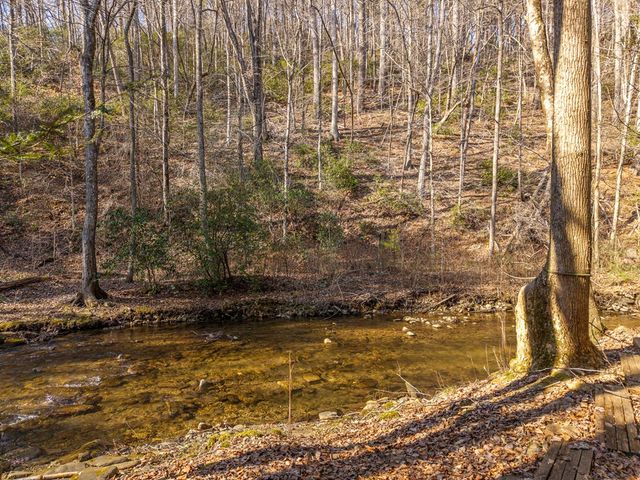 5411 Turniptown Road, Ellijay, GA 30536