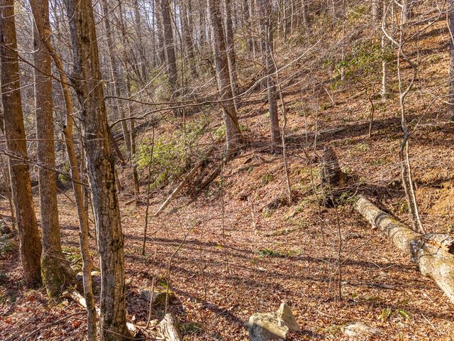 5411 Turniptown Road, Ellijay, GA 30536