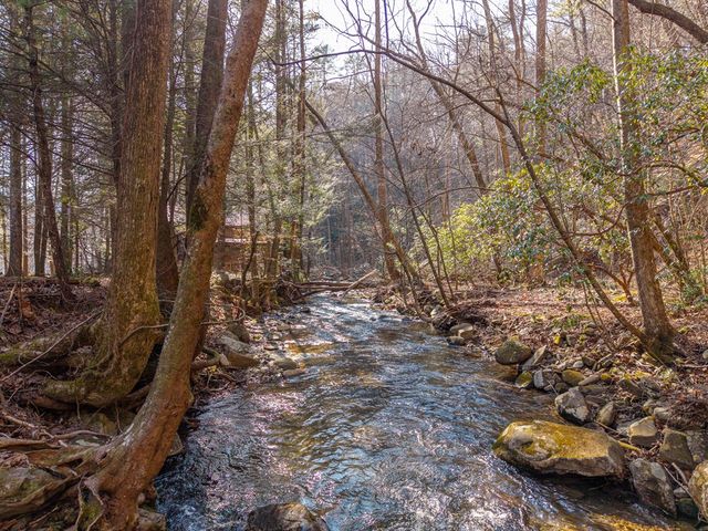 5411 Turniptown Road, Ellijay, GA 30536