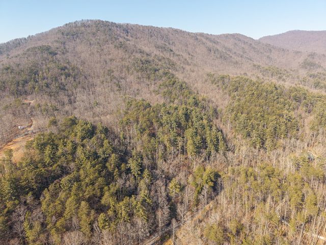 5411 Turniptown Road, Ellijay, GA 30536