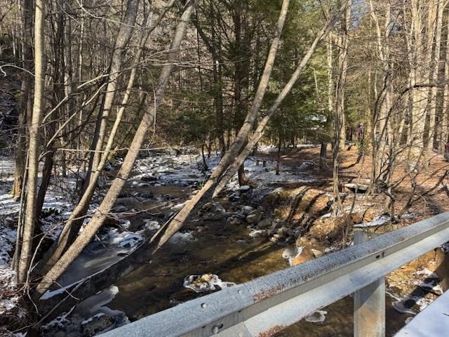 5411 Turniptown Road, Ellijay, GA 30536