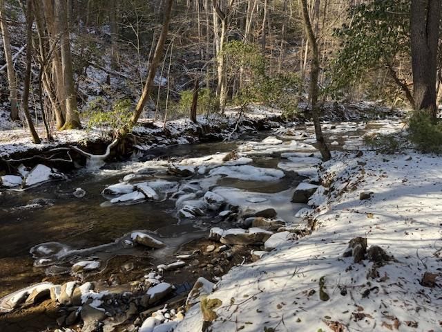 5411 Turniptown Road, Ellijay, GA 30536