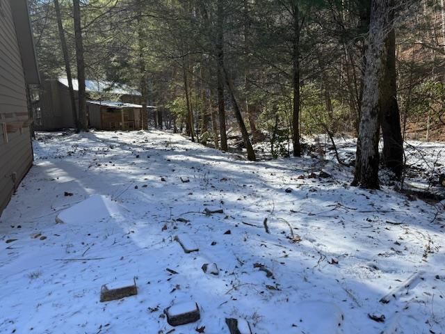 5411 Turniptown Road, Ellijay, GA 30536