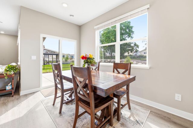 228 Snowdrop Trail, Waconia, MN 55387