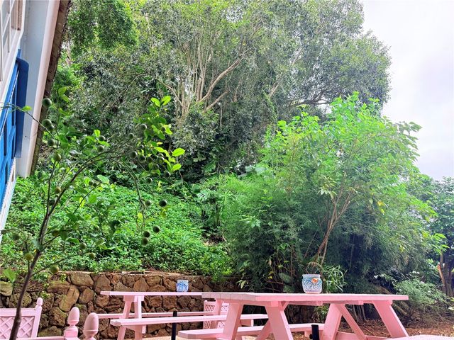 45-636 Anoi Road, Kaneohe, HI 96744