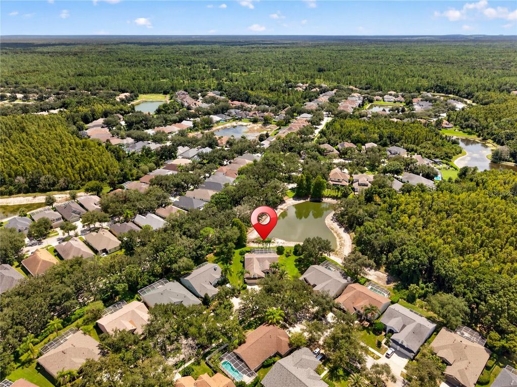Image 62 of property listing at 10160 WHISPER POINTE DRIVE, Tampa, FL 33647