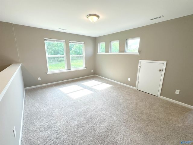 228 Hibiscus Drive, Hazel Green, AL 35750
