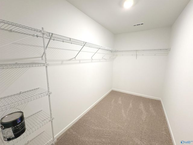 228 Hibiscus Drive, Hazel Green, AL 35750