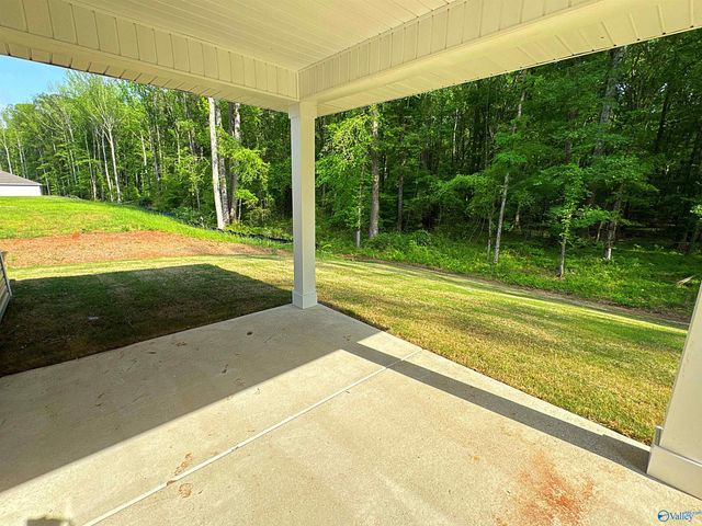 228 Hibiscus Drive, Hazel Green, AL 35750