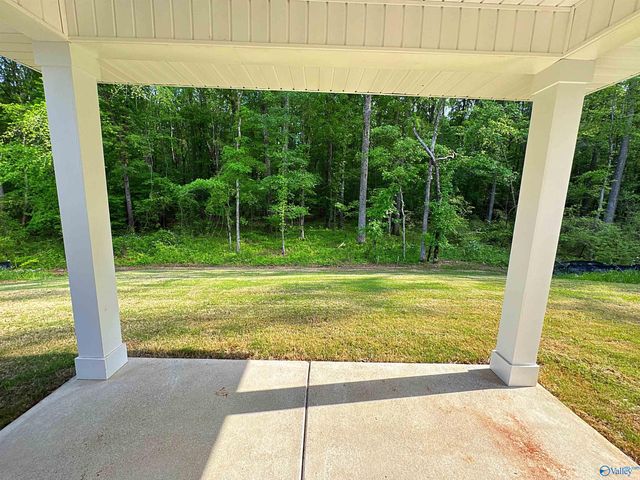 228 Hibiscus Drive, Hazel Green, AL 35750