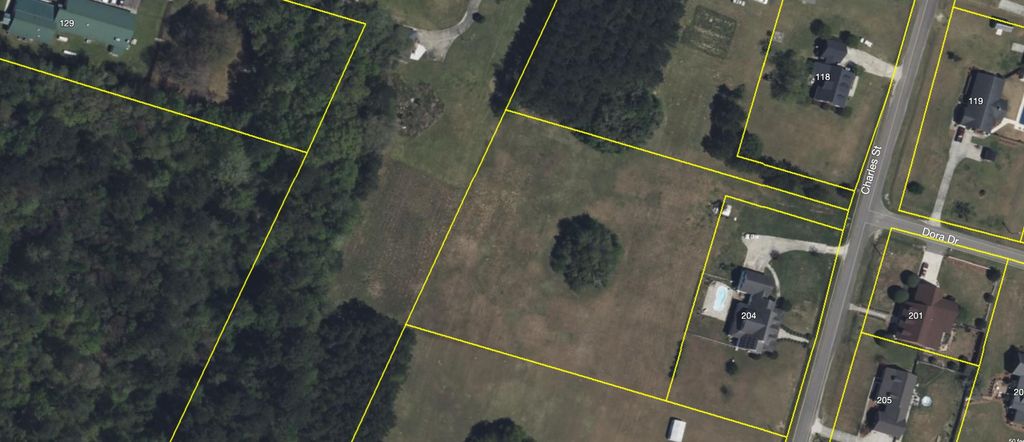 200 Charles Street, Saint George, SC 29477