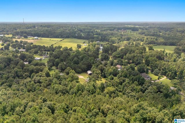 265 PAYNE ROAD, Empire, AL 35063