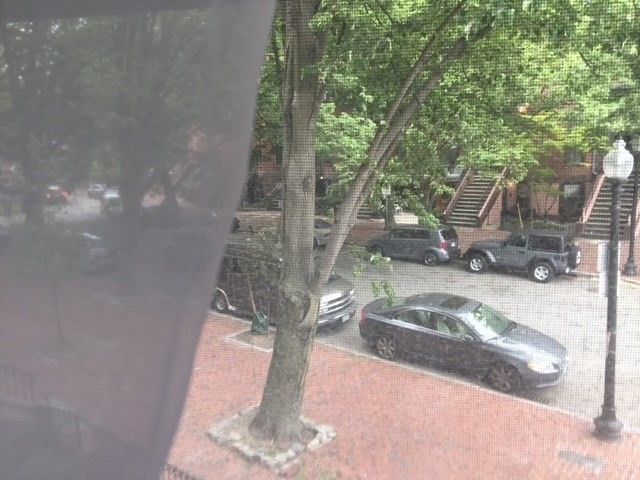 41 Worcester Square 1, Boston, MA 02118