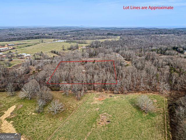 436 Tommy Irvin Road, Mount Airy, GA 30563