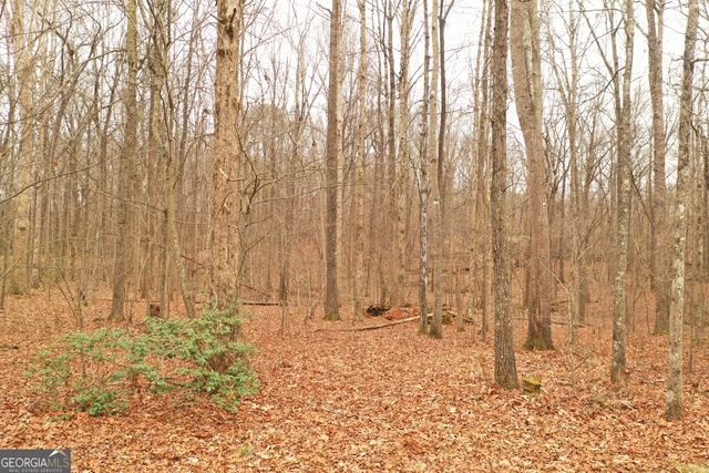 436 Tommy Irvin Road, Mount Airy, GA 30563