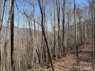 140 Boar Ridge Road 140, Sylva, NC 28779