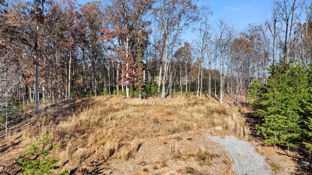 Lot 39 Harbour Island LN, Moneta, VA 24121