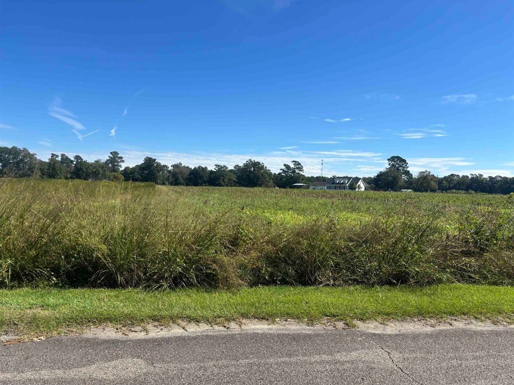 TBD Lilly Ln., Loris, SC 29569 — photo 2