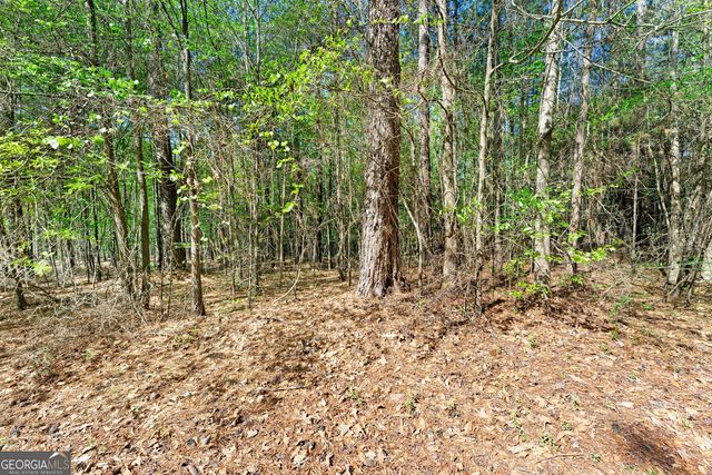 132 Melody Point, Hartwell, GA 30643