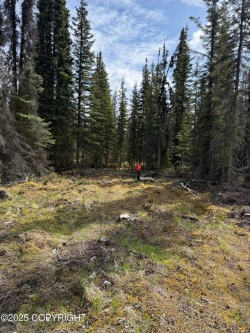 000 Barbara Street, Sterling, AK 99672