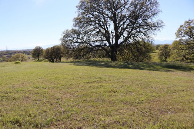 Lot 80 Pimlico Court, Cottonwood, CA 96022