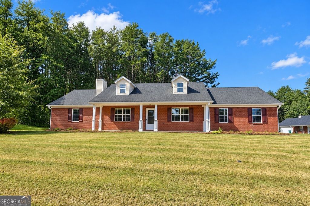 302 Lacebark Lane, Hampton, GA 30228 — exterior