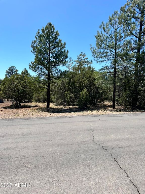 5454 GRAY WOLF Drive 53, Lakeside, AZ 85929