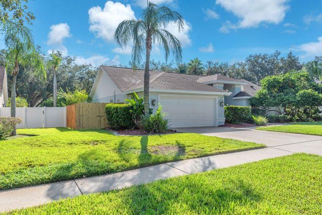 4008 EAGLES NEST DRIVE, Valrico, FL 33596