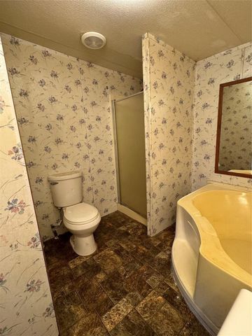 398 Avenue D, Point, TX 75472