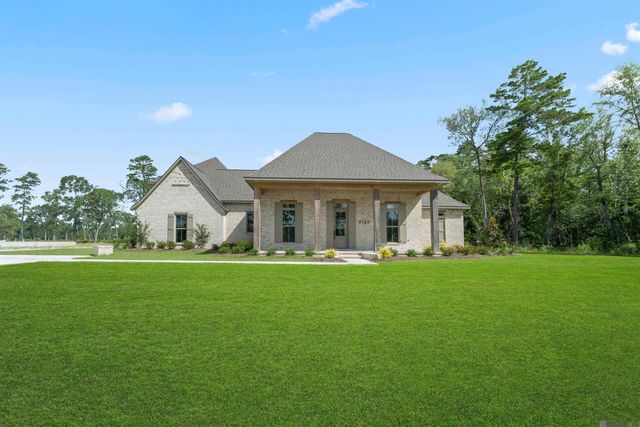 9189 Hillon Hood Rd, Denham Springs, LA 70726