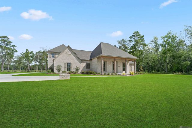 9189 Hillon Hood Rd, Denham Springs, LA 70726