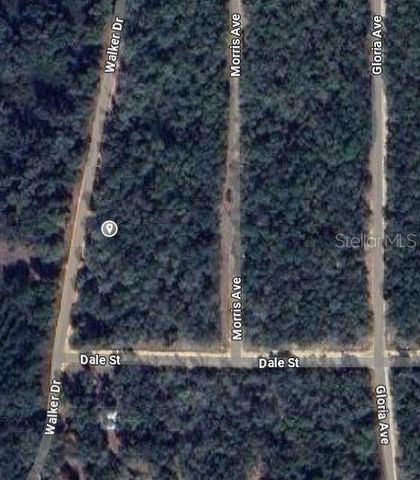00 WALKER DRIVE, Interlachen, FL 32148