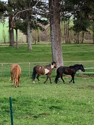 11010 Yonna Loop Drive, Bonanza, OR 97623