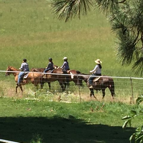 11010 Yonna Loop Drive, Bonanza, OR 97623