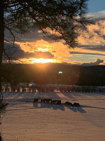 11010 Yonna Loop Drive, Bonanza, OR 97623