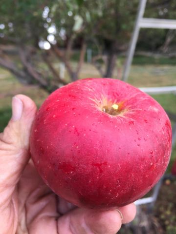 11010 Yonna Loop Drive, Bonanza, OR 97623