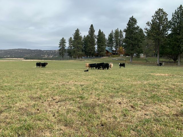 11010 Yonna Loop Drive, Bonanza, OR 97623