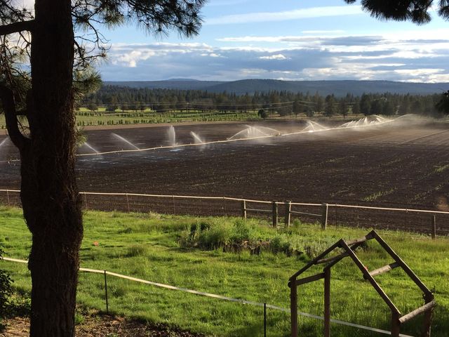 11010 Yonna Loop Drive, Bonanza, OR 97623