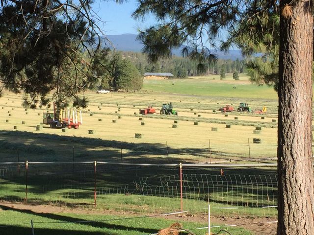 11010 Yonna Loop Drive, Bonanza, OR 97623