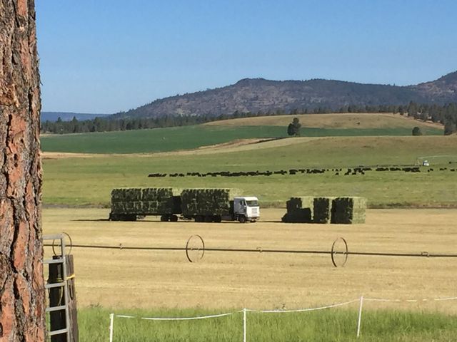 11010 Yonna Loop Drive, Bonanza, OR 97623