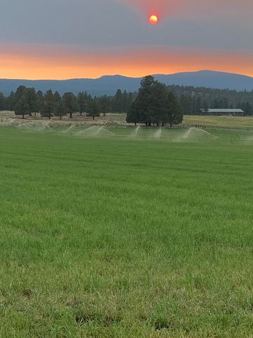 11010 Yonna Loop Drive, Bonanza, OR 97623