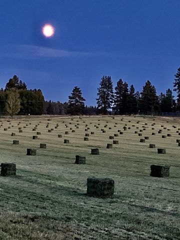 11010 Yonna Loop Drive, Bonanza, OR 97623