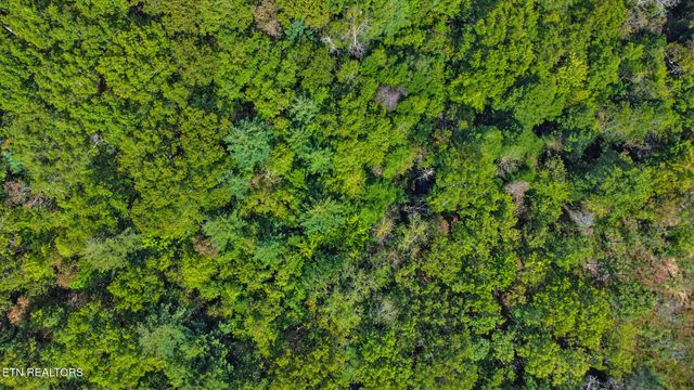 224 Victoria Circle, Jamestown, TN 38556