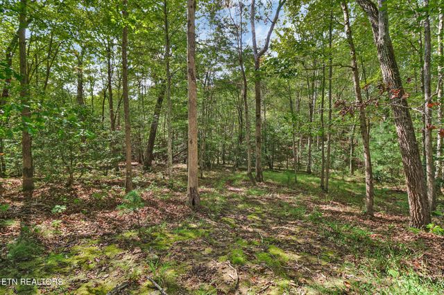 224 Victoria Circle, Jamestown, TN 38556