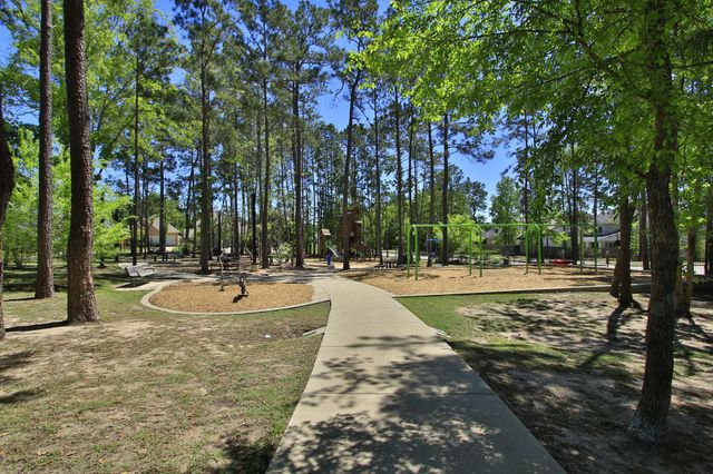320 Rise Lane, Montgomery, TX 77316
