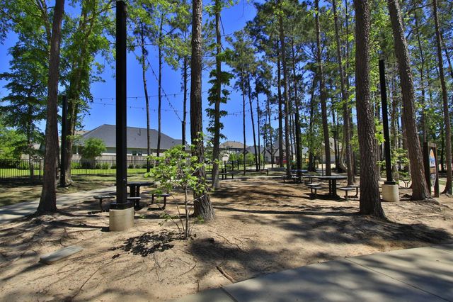 320 Rise Lane, Montgomery, TX 77316