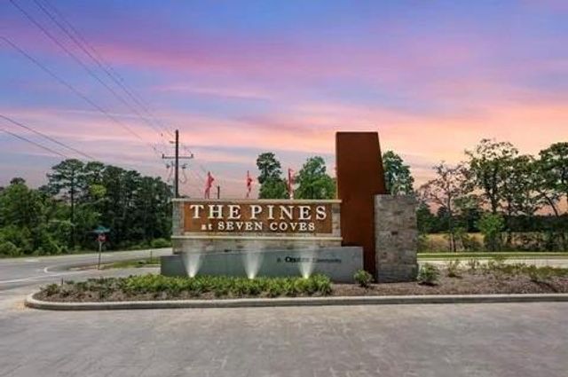 309 Maple Bark Trail, Willis, TX 77378