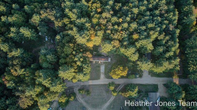 1066 Fisk Avenue, Aetna Twp, MI 49336