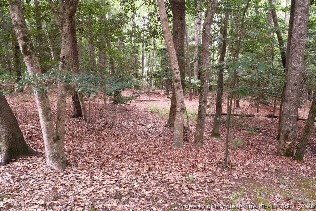 1144 Deerfoot Trail, Sanford, NC 27332 — photo 2