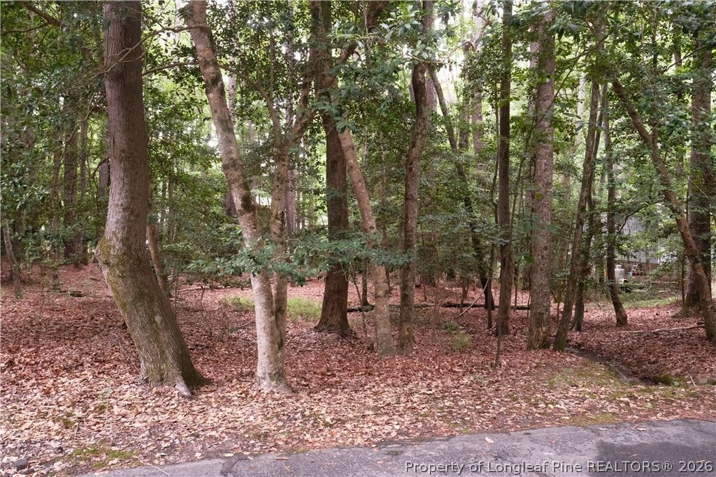1144 Deerfoot Trail, Sanford, NC 27332 — photo 3